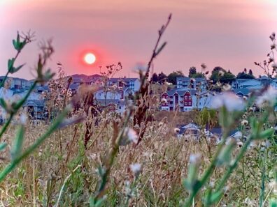 Photo submitted for APAC photo contest