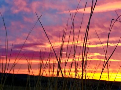 Photo submitted for APAC photo contest