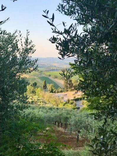 Photo submitted for APAC Photo contest