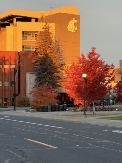 Photo submitted for APAC Photo contest