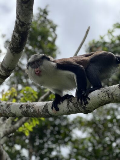 Photo submitted for APAC photo contest