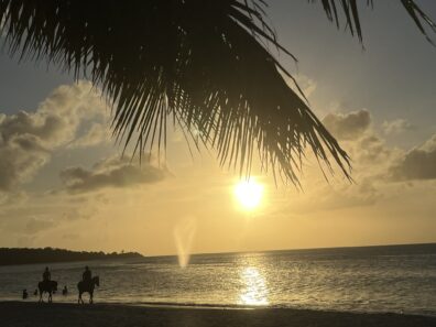 Photo submitted for APAC photo contest