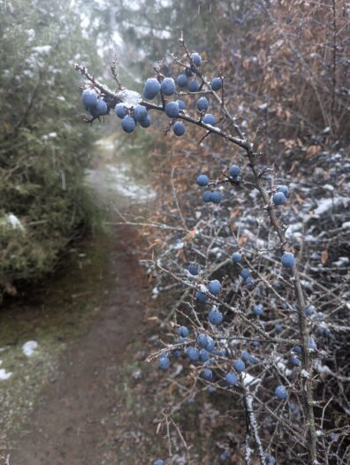 Photo submitted for APAC photo contest