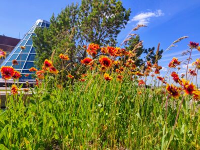 Photo submitted for APAC photo contest