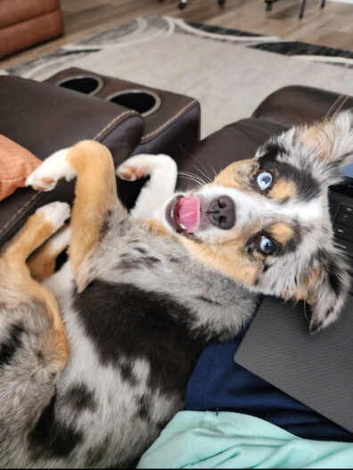 Photo submitted for APAC photo contest