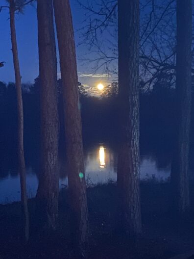 Photo submitted for APAC photo contest