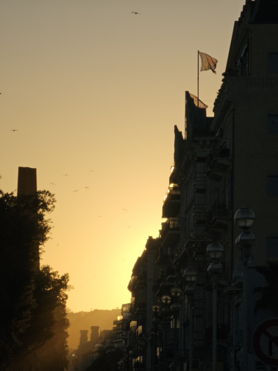 Photo submitted for WSU APAC photo contest