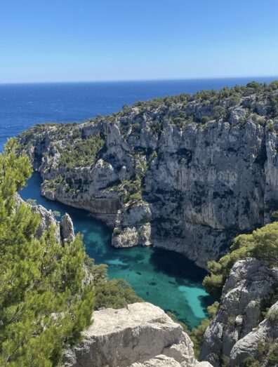 Photo submitted for WSU APAC photo contest