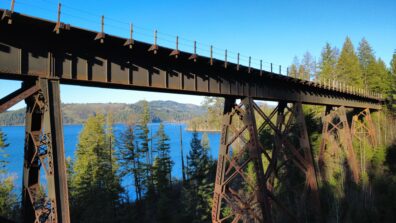 Photo submitted for the WSU APAC photo contest