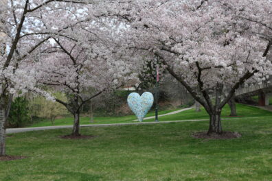 Photo submitted for WSU APAC photo contest