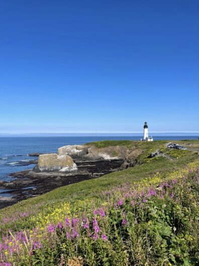 Photo submitted for the WSU APAC photo contest