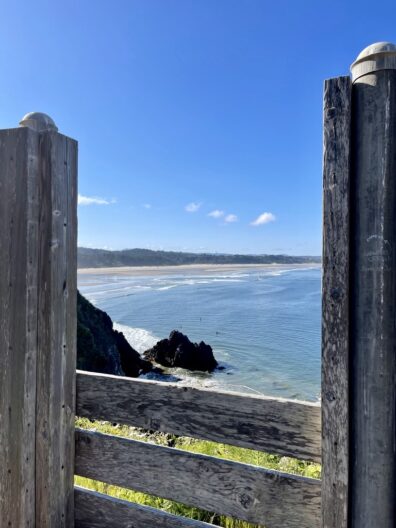 Photo submitted for WSU APAC photo contest