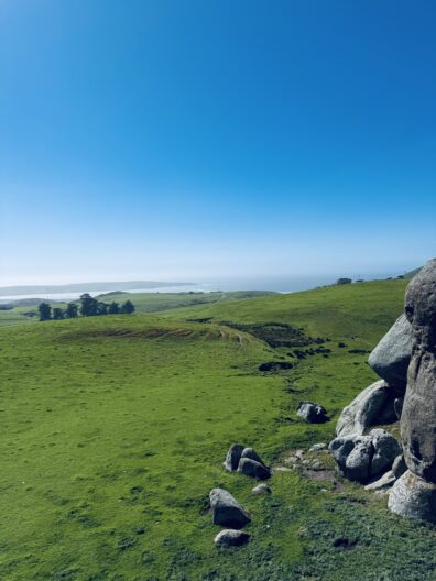 Photo submitted for the WSU APAC photo contest