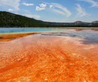 Photo submitted for WSU APAC photo contest