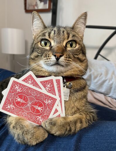 Photo submitted for the WSU APAC photo contest