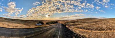 Photo submitted for WSU APAC photo contest