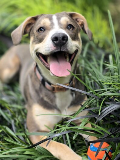 Photo submitted for WSU APAC photo contest