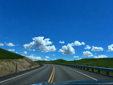 Photo submitted for WSU APAC photo contest