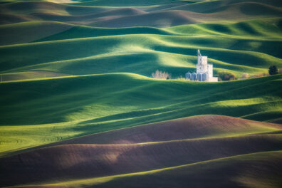 Photo submitted for WSU APAC photo contest