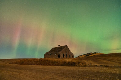 Photo submitted for WSU APAC photo contest