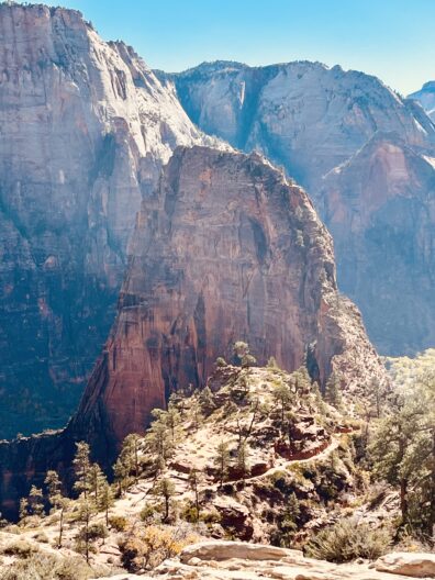 Photo submitted for WSU APAC photo contest