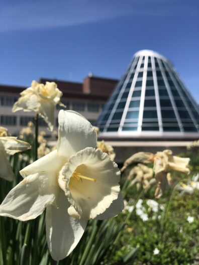 Photo submitted to WSU APAC photo contest