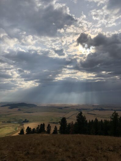 Photo submitted for WSU APAC photo contest