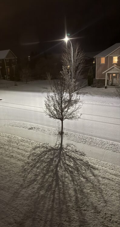 Photo submitted for the WSU APAC photo contest