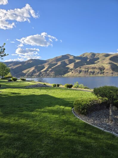 Photo submitted for WSU APAC photo contest