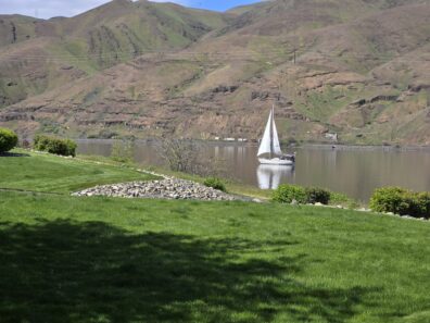 Photo submitted for WSU APAC photo contest.