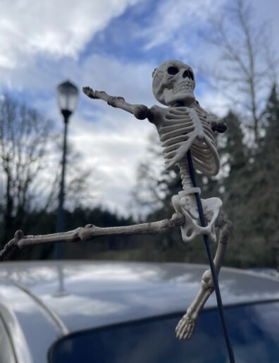 Photo entered in the APAC photo contest