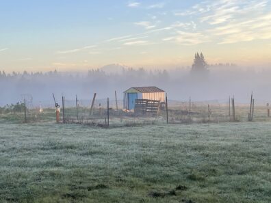 Photo submitted to WSU APAC photo contest