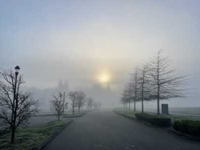 Photo submitted to WSU APAC photo contest