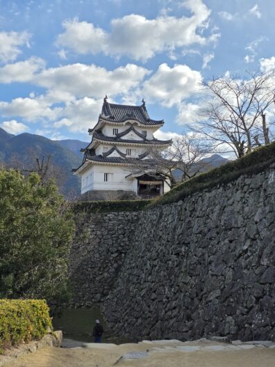 Photo submitted to WSU APAC photo contest