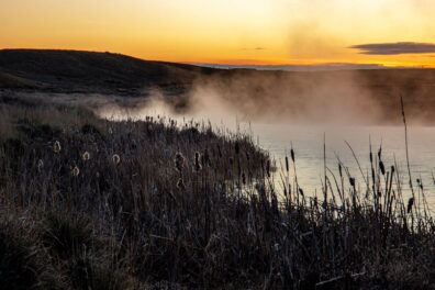 Photo submitted for WSU APAC photo contest