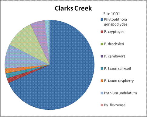 A circle graph without percentages for the numbers that indicates the previous year species results for the same site. Around 2/3 of the results were Phytophthora gonapodiydes. Phytophthora drechsleri was next, followed by Pythium undulatum, then Pythium flevoense. With a small amount of results for each species: Phytophthora cryptogea, Phytophthora taxon salixsoil, Phytophthora taxon raspberry, and Phytophthora cambivora.