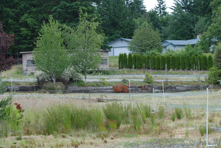 a field with a stream along its far edge and a small building mostly hidden behind some small trees