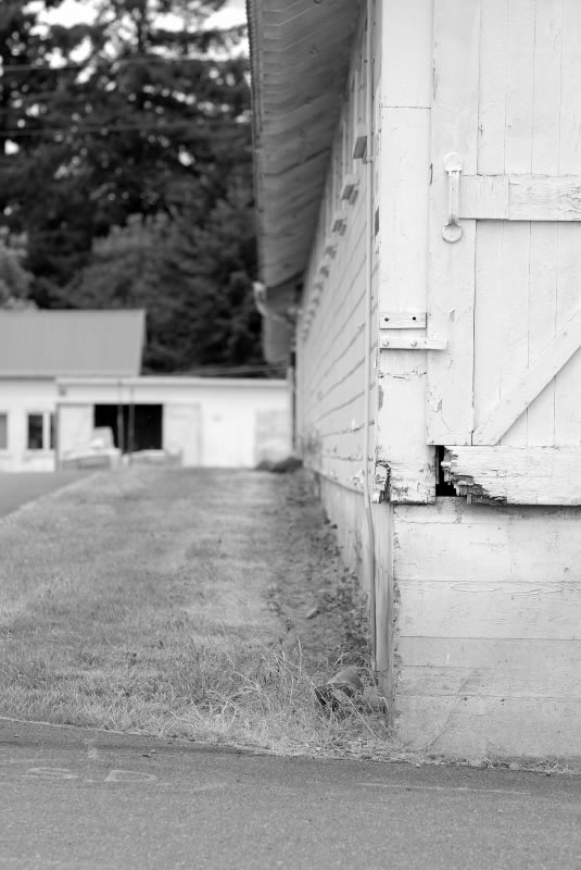 b&w photo of a strip of grass alongside a wooden building