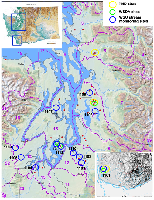 map shows stream monitoring sites in western Washington state belonging to DNR (yellow), WSDA (green), and WSU (blue)