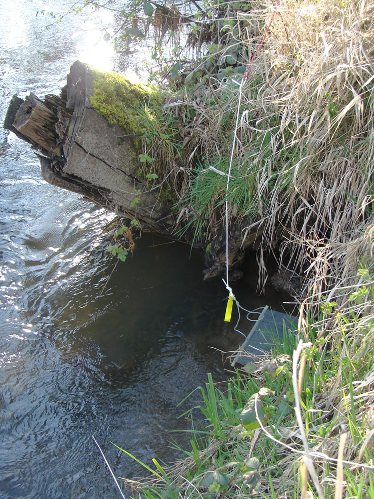 a view of the creek from above the water. The bait bag can be seen resting on the water.