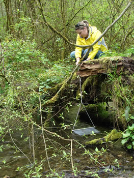 a girl in a yellow jacket balances on a natural bridge made from a fallen log and some vining plants above a stream, holding the string of a mesh bait bag