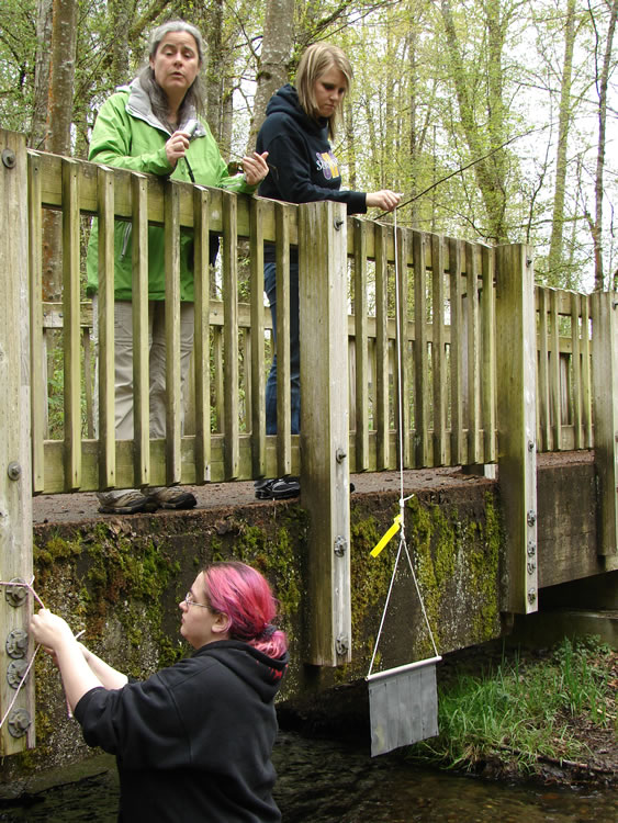Two volunteers on a bridge with a wooden railing and cement footings. The person on the right is holding the string of a bait bag, which is hanging down just below the level of the cement. A girl with dyed pink hair in a black sweatshirt faces the bridge from the water, tying a string to one of the wooden posts. 