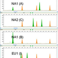 a set of four horizontal graphs stacked vertically with green and orange spikes