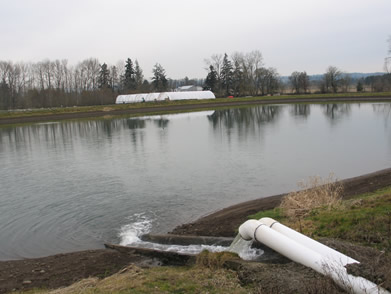 two white pipes spit water into a pond. a row of greenhouses can be seen across the pond.