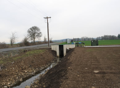 a nursery field next to a road. between them is a ditch with a cement structure crossing its center and machinery behind it
