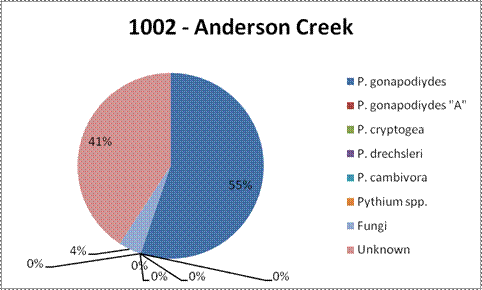 Anderson Creek site results were 41% unknown species, 4% fungi, and 55% Phytophthora cambivora