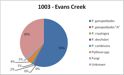 breakdown of species isolated from site 1003 Evans Creek. 56% was identified as Phytophthora gonapodiydes. 36% were unknown. 4% were Pythium.  2% were Phytophthora cambivora. 1% each were fungi and Phytophthora drechsleri.