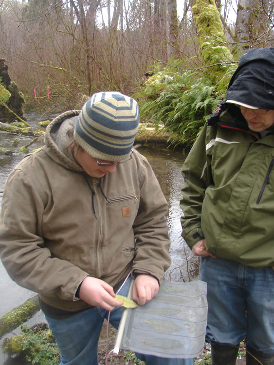 Two people dressed warmly. The person on the left is wearing a brown carhartt jacket and a blue striped beanie. They are holding a flat mesh bait bag on their thigh as they insert a rhododendron leaf into one of the pockets that already contains a leaf and the person on the right watches.