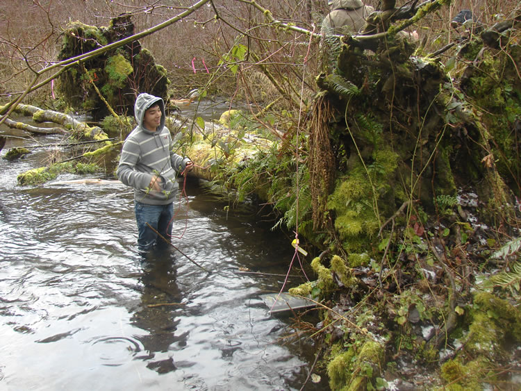 A teenaged boy in a gray hoodie with thin white stripes is standing in the water a few feet from a creek bank. The water goes up to his knees and his jeans are wet up to just below the hips. A bait bag hangs from a tree into the water in front of him.