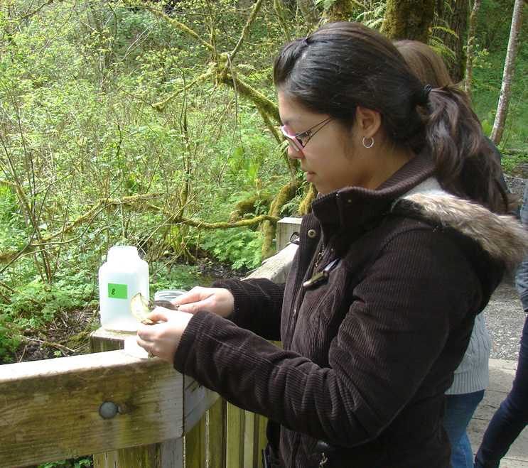 A student with glasses and small hoop earrings stands at a wooden railing with a hole punch in one hand and a leaf in the other. A small square jar with its top off is in front of her.